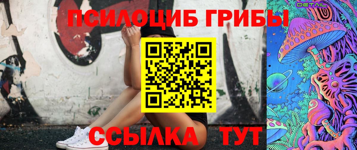 Псилоцибиновые грибы Psilocybe  Псилоцибиновые грибы MAGIC MUSHROOMS  Заинск 