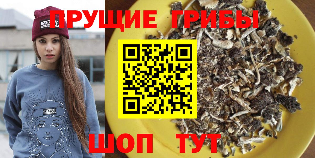 Псилоцибиновые грибы Cubensis  купить закладку  Заинск  Вход с VPN  Псилоцибиновые грибы мухоморы 