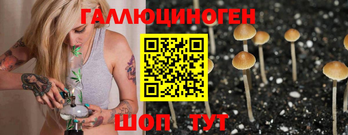 Псилоцибиновые грибы Magic Shrooms Заинск